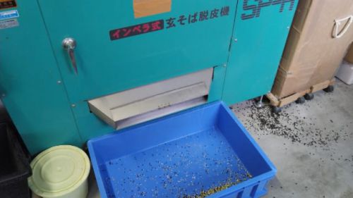 玄蕎麦仕込み(*‘ω‘ *)