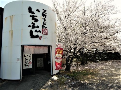 三野うどん いちふじ (香川県三豊市三野町)