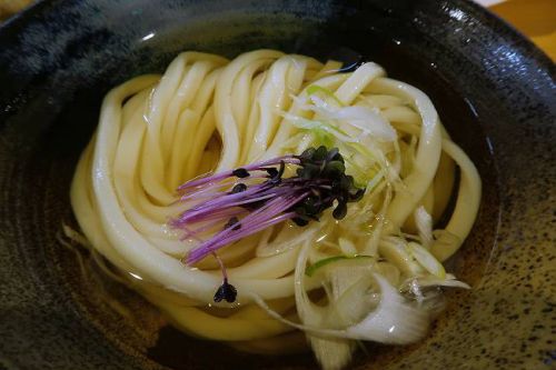 自家製手打ち やおきうどん @ 進化した冷やかけ出汁に感動しました