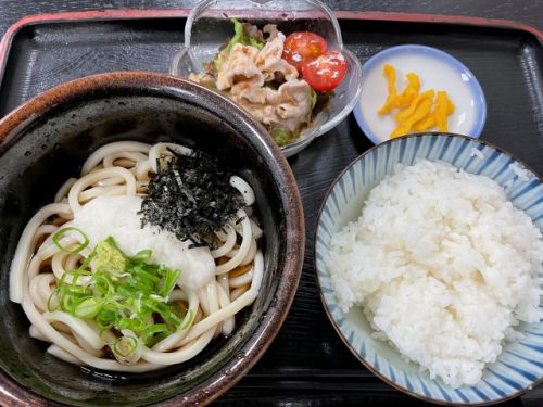 裏駒川商店街の食堂で冷やしとろろうどん 成駒家 西店 @ 大阪市東住吉区駒川4丁目 210602
