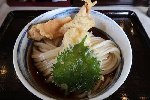 うどんらんぷ若蔵 @ 今回は姉と二人でうどん!!