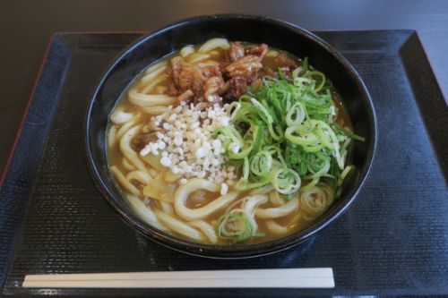 岸和田熟成うどん ふじふじ@岸和田市真上町