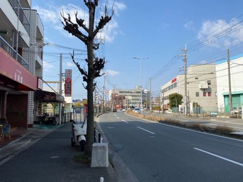 讃岐うどん やさか ー 大阪に恋をした讃岐うどん ー