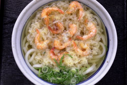 目の前の瀬戸内海で捕れる新鮮小エビの天ぷらうどんがめっちゃ旨い! 手打うどん きたの @ 観音寺市有明町 210828