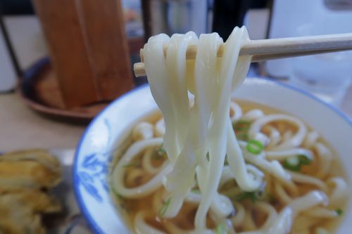 2020「さぬきの夢」うどん技能グランプリ農林水産大臣賞受賞の製麺所 吉本食品 @ 東かがわ市三本松 今年12回目の讃岐うどんツアー 1軒目 201121