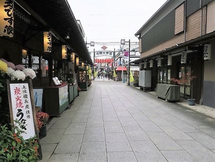 柴又 「蕎麦切り 日曜庵」 芸術品のごとき輝く「田舎そば」