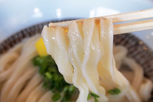 もっちりもちもち熱々旨々釜抜き醬油うどん 本格手打ちうどん あかみち @ 丸亀市田村町 今年12回目の讃岐うどんツアー 4軒目 201121