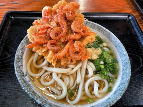 やっぱり食べちゃう芝海老のかき揚げ 山下うどん @ 坂出 210925