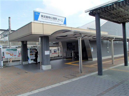 一茶宮代で天ざるそば 「埼玉県 東武動物公園駅」