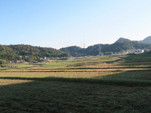 手打ちうどん ヤマエ @滋賀県大津市