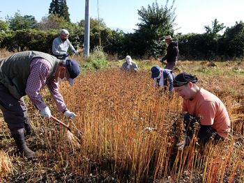 「蕎麦」を通じた山形村の地域活性!