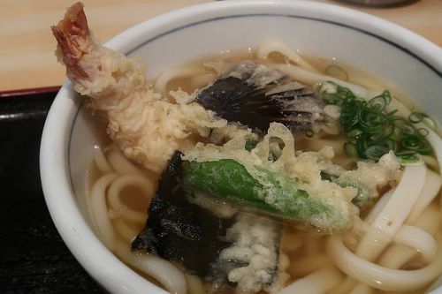 うどん ゆきの @ 今回は温かいうどんです。 天ぷら定食