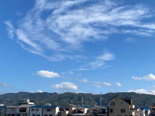うどん山川 八尾沼店 ー 評判通りの美味しさでした。 ー
