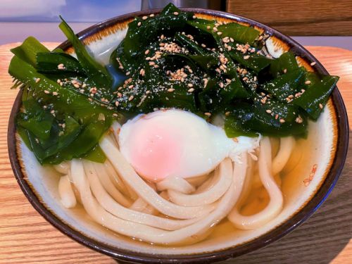 春を告げる鳴門朝採れ生わかめのおうどん Udon Kyutaro @ 大阪市中央区久太郎町 220324