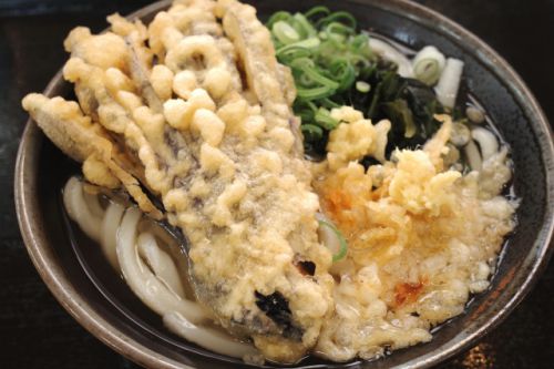 朝一番で美味しいうどんが食べられる幸せ こがね製麵所 鬼無店 @ 高松市鬼無町 220416