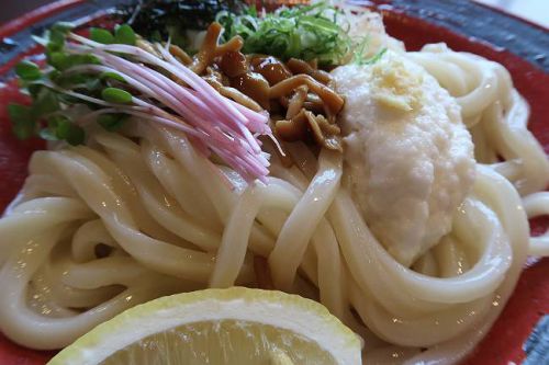 打ち立てうどん だし屋 @ 寝屋川市