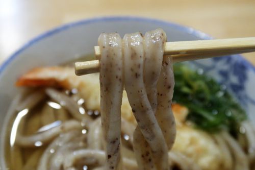 早朝7時より旨いうどんが食える幸せ! うどん 讃く @ 福島 201210