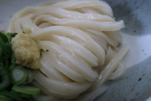 本格手打ちうどん もり @ おろしぶっかけ