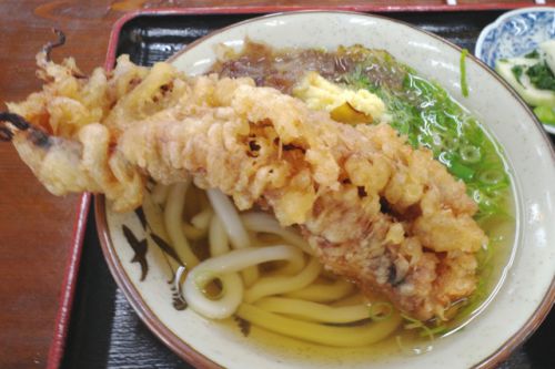 完全セルフうどんの発祥店 手打うどん 名玄 @ 岡山市
