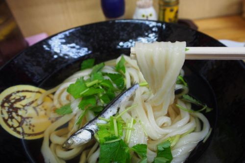 「ニッポンごはん旅」手打ちうどん紅屋 香り冷やかけ