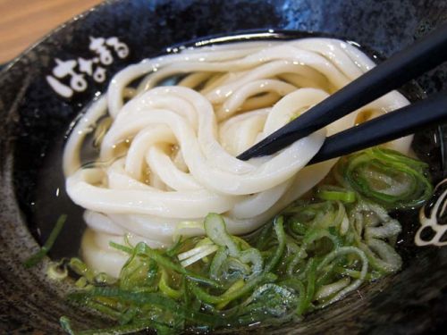 「はなまるうどん 難波なんさん通り店」 期間限定!冷かけ、見っけ~☆ 220606