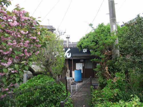 ①讃岐うどん がもう @2022 四国巡礼その7