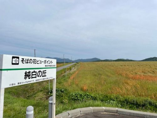 幌加内新蕎麦祭り