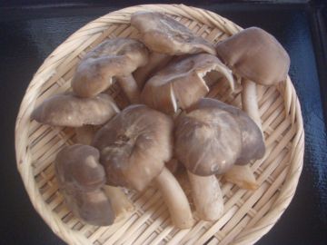 「秋限定・天然しめじ蕎麦」